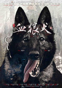 大片免费看 虎年安心宅