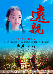 盲少爷的小女仆
