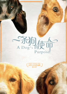 影视奇扒说[2018]