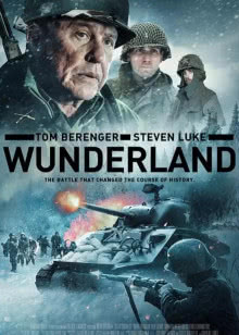 游民神街访[2017]